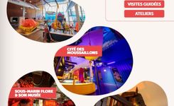 activités pédagogiques 2025-2026