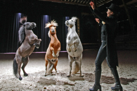 artiste et poneys en piste
