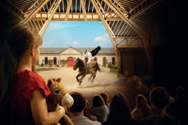 haras hennebont