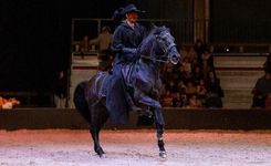 formation perfectionnement arts equestres