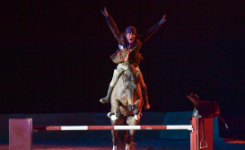 artiste et cheval en piste