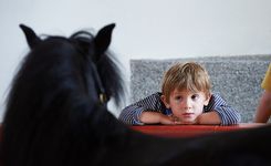 rencontre avec un poney au haras hennebont