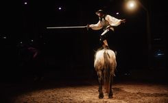 spectacle équestre haras hennebont