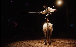 spectacle noel haras 2025