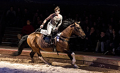 spectacle journee pedagogique 2023 haras hennebont