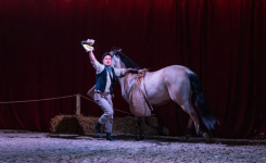 artiste et cheval en piste