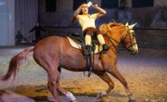 artiste et cheval en piste