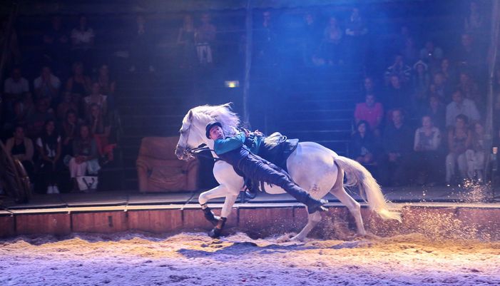 haras-hennebont_devenir-partenaire