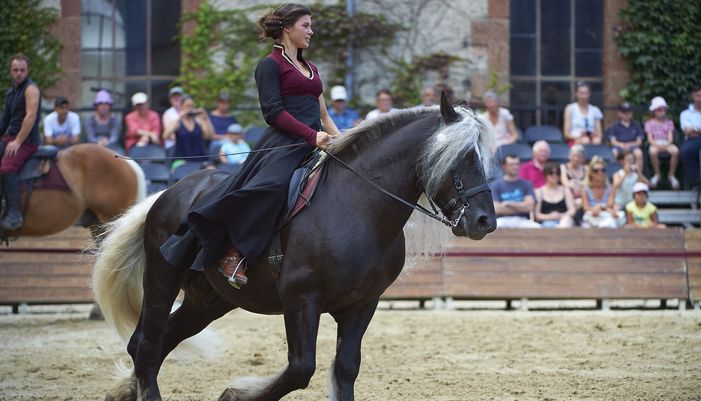 haras-hennebont_devenir-partenaire
