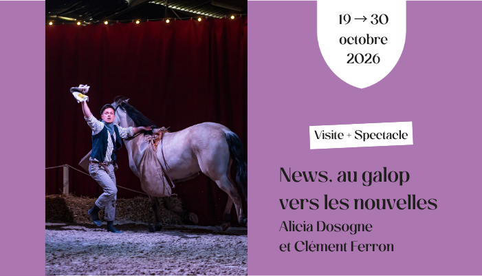 programme automne 2026 haras hennebont