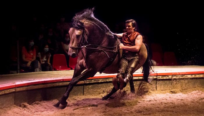 Pagnozoo en représentation au Haras d'Hennebont