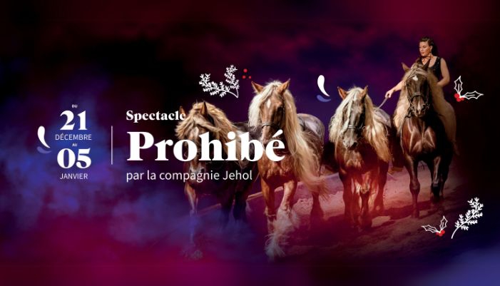 affiche spectacle chevaux