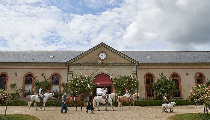 haras national hennebont