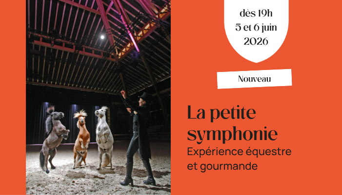 artiste et poneys en piste