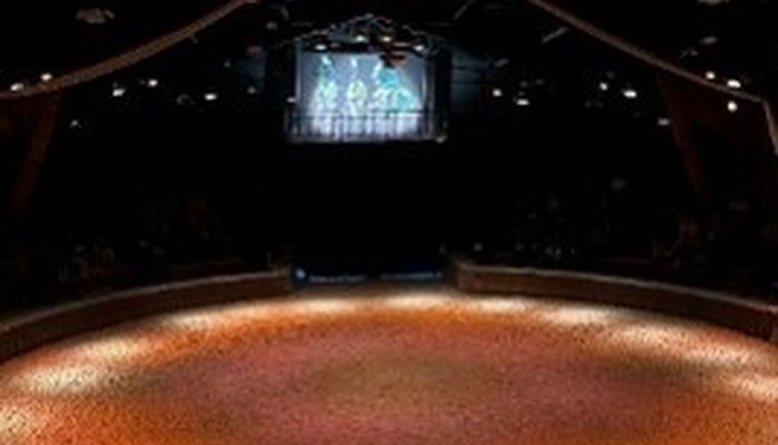 structure compagnie equestre diego n co