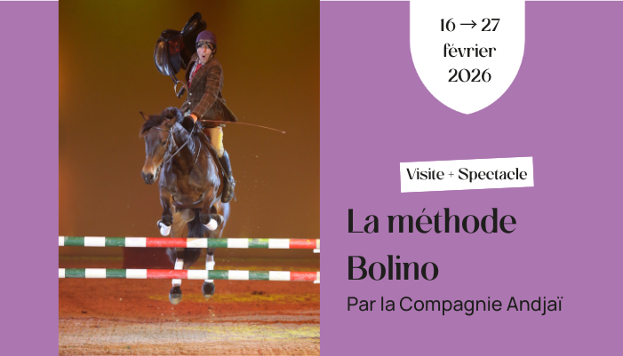 artiste et cheval en piste