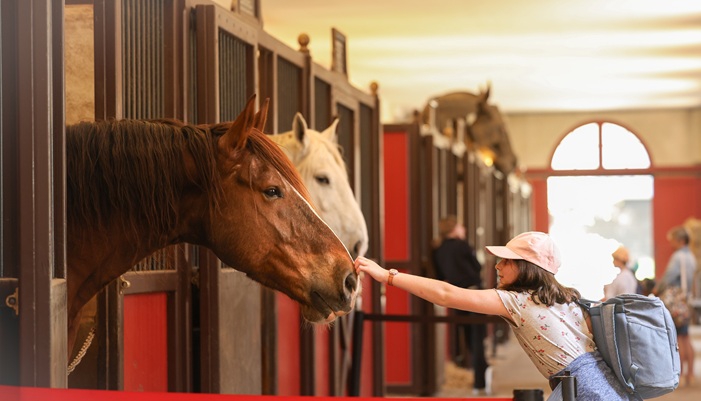 scolaires haras chevaux écurie