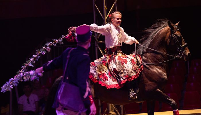 spectacle equestre haras scolaires