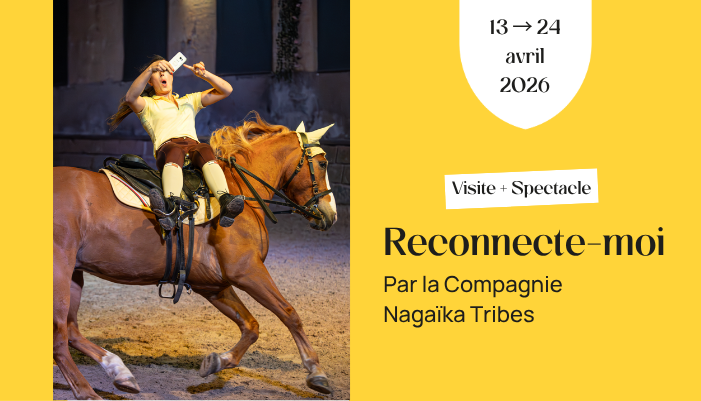 artiste et cheval en piste